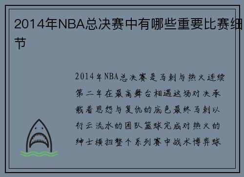 2014年NBA总决赛中有哪些重要比赛细节
